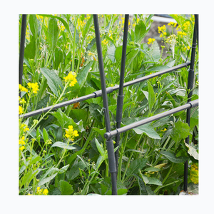 Raised Garden Bed Planter Boxes With <b>Trellis</b> - Product Image 4
