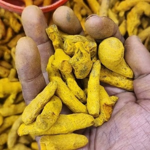 Extracto de Cúrcuma Orgánica en Polvo de Alta Calidad, Curcuma Longa 100%, 95% Curcumina en Polvo, Compre Hoy, Entrega Rápida, Calidad Premium - Product Image 6