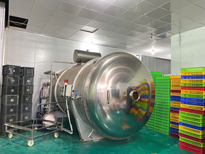 Machine de lyophilisation sous vide motorisée automatique en acier inoxydable contrôlée par PLC WHFD-100 pour la transformation alimentaire, longue durée de vie - Product Image 3