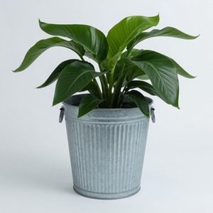 Maceta de hierro galvanizado acanalado con asas, maceta redonda grande de metal para flores, contenedor para plantas de jardín o patio estilo rústico - Product Image 2