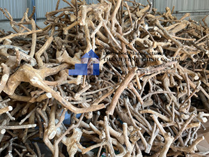 Natural Wood Branches For Reptile Habitat Decorations Eco Friendly Pet Ornament Set Made in Vietnam - Product Image 2