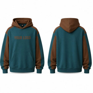 Men's Hooded Sweatshirt Teal <b>Brown</b> Raglan Sleeve <b>Fleece</b> Casual Autumn Regular Fit Front Logo Heat-Transfer Printing - Product Image 1