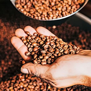 เมล็ดกาแฟโรบัสต้าพรีเมียม S18 (สำหรับเอสเพรสโซ) คั่วบด ขายส่ง พร้อมบริการติดฉลากส่วนตัวและสนับสนุนแบรนด์กาแฟ - Product Image 2