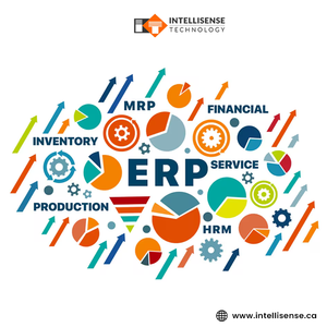 บริการพัฒนาซอฟต์แวร์เชิงกลยุทธ์แบบบูรณาการสำหรับการพัฒนาซอฟต์แวร์ ERP และเครื่องมือซอฟต์แวร์ธุรกิจ - Product Image 2
