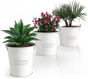 Paes de plantation en métal galvanisé pour jardin, pot de plantes, intérieur ou extérieur, décor de support de fleur de ferme Vintage, blanc - Product Image 1