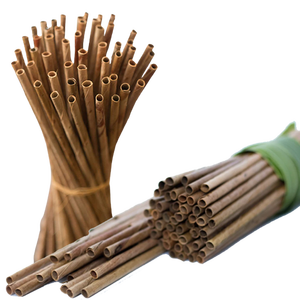 Sans produits chimiques jetables et compostables 210mm L x 5mm Dia. Feuille de noix de coco paille naturelle - Product Image 1