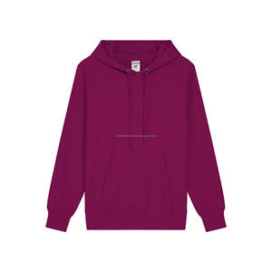 Vente en gros Pull-over Impression Velours de coton Sweat à capuche unisexe uni épais Logo personnalisé vierge Sweatshirts à capuche pour hommes - Product Image 2