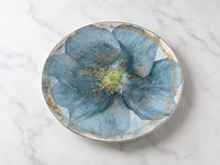 Assiette creuse en porcelaine à bord large, 27,6 cm, plat de service plat pour hôtel, restaurant et usage domestique