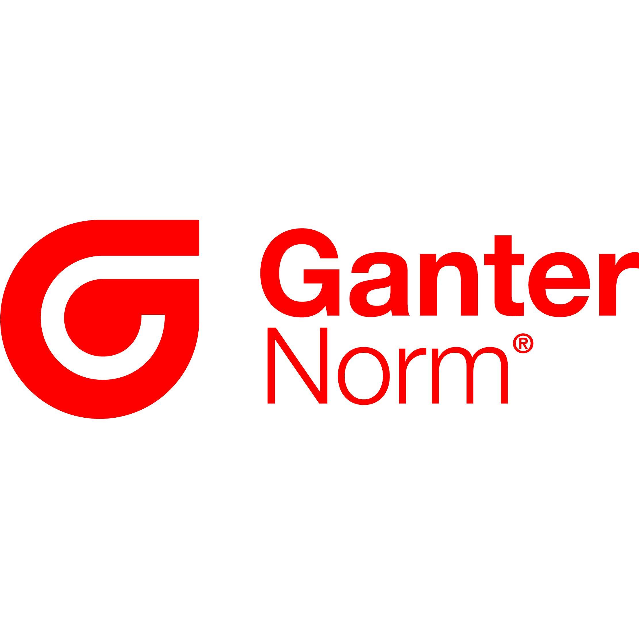 Otto Ganter GmbH + Co. KG Normteilefabrik logo