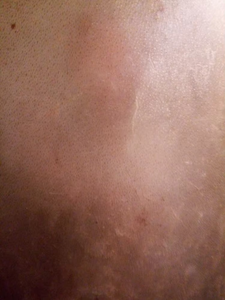 Natural Calf Skin Bassoon <b>Drum</b> Heads-Perfect Sound Calf Skin Bodhran <b>Drum</b> Skin Banjo Head Snare <b>Drum</b> Heads Skins Perfect Sound - Product Image 4