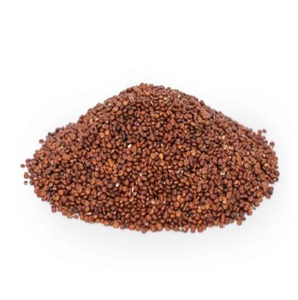 Quinoa Roja al por Mayor, Cosecha Fresca Premium, Suministro Directo para Redes de Distribución Globales - Product Image 6