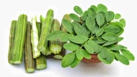 Bubuk Daun Moringa Liar Ekstrak Herbal Kelas A Merek IGC 99% Murni dalam Wadah Plastik Drum atau Botol untuk Suplemen Makanan