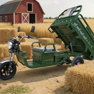 รถสามล้อไฟฟ้า EEC COC DOT ราคาถูกที่สุด 1000W แบบเปิดประทุน สำหรับขนส่งสินค้าสำหรับผู้ใหญ่ รับน้ำหนักได้ 900-1200 กก. ได้รับการรับรอง - Product Image 1