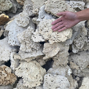 Piedra de Roca Marina de Alta Calidad de Vietnam para Acuarios, Decoración Ecológica para Peceras, Piedra Decorativa Natural para Acuarios - Product Image 2