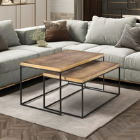 Nuevo Producto en Oferta: Juego de 2 Mesas de Centro con Acabado Dorado, Forma Rectangular, para Uso en Interiores, Muebles para Sala de Estar