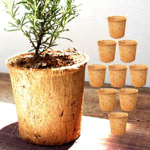 Maceta de Fibra de Coco – Maceta Ecológica para Germinación de Semillas, Agricultura y Cultivo en Jardín - Product Image 1