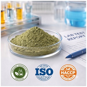 Extrait de Gymnema Sylvestre Gudmar, extrait naturel à base de plantes, fournisseur en gros, fabricant, exportateur - Product Image 4