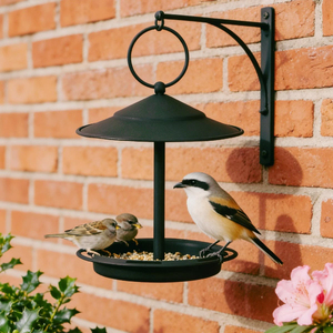 Rustic Metal <b>Wall</b> <b>Mounted</b> <b>Bird</b> <b>Feeder</b> With Ornamental Design And Perched <b>Bird</b> Detail For Outdoor Garden Use Vintage <b>Bird</b> <b>Feeder</b> - Product Image 6