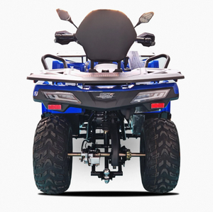 Quad tout-terrain Chithan DIY pour adultes, 4 roues, >300cc, 4 temps, 4x4, boîte de vitesses automatique, blocage de différentiel, ODM, 75-100 km/h, garantie 3 ans - Product Image 5