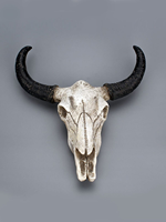 Crâne de buffle antique poli à suspendre ou à poser, artisanat en corne, décoration murale, écologique, luxe classique, tous animaux