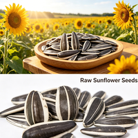 Semillas de Girasol Orgánicas de Alto Rendimiento, Sin OMG, Secas y Crudas, en Bolsa de 25 kg con Altas Tasas de Germinación