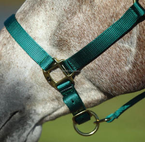 Halter estable de nailon Premium con hardware de latón, 1 pulgada de ancho, con enganche de garganta extraíble - Product Image 3