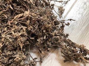 Premium Natural <b>Dried</b> <b>Grass</b> Jelly Herb Whole Raw Mesona Chinensis Herbal Material for Desserts Bulk Wholesale Factory Direct - Product Image 2