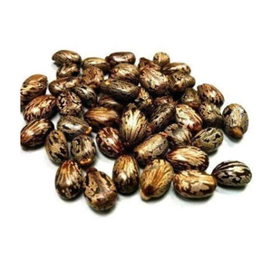 1KG Graines de ricin brutes, sauvages, entièrement matures, séchées, pures, neuves, pour herbes - Product Image 1