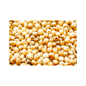 เมล็ดข้าวฟ่างขายส่งจำนวนมาก ราคาโรงงานถูก - Product Image 4