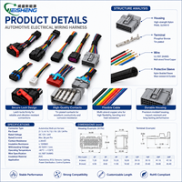 Arnés de Cables Automotrices de Alta Densidad, Conjunto de Cables Multicolor Personalizado para el Sistema Eléctrico del Vehículo