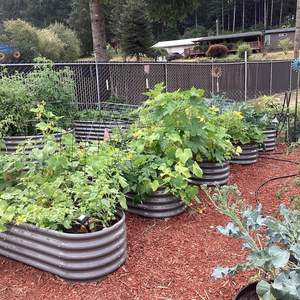 Bac à plantes surélevé en acier pour jardin, grand modèle extérieur en métal pour légumes, fleurs, herbes, design décoratif galvanisé, OEM ODM - Product Image 3