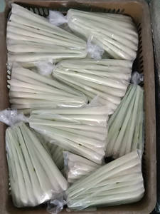 Hierba de limón congelada IQF-Hierba de limón en rodajas/Hierba de limón picada para exportación de productos de verduras congeladas-PROVEEDOR VIETNAM/Sra. Selina - Product Image 3