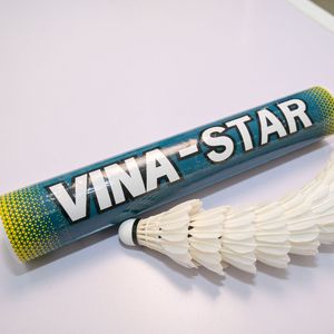 Wholesale Vina-Star VINA-A3 Professional Tournament <b>Shuttlecock</b> Goose Feather Wood 2 Layer Foamed Plastic Head Lightweight - Product Image 2