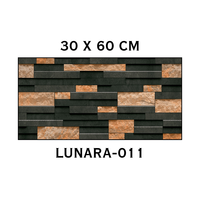 Carreaux muraux en céramique haute profondeur 30x60cm, couleur foncée moderne, carreaux muraux intérieurs en céramique pour maison et hôtel