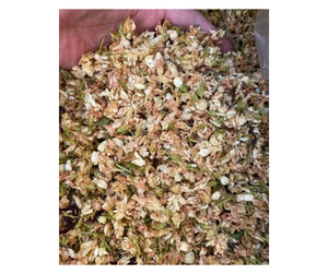 Fleurs de jasmin séchées de qualité supérieure provenant d'un fournisseur vietnamien - Ingrédient floral naturel pour la préparation de mélanges de thé, commande en gros - Product Image 1