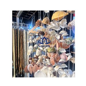 ARTÍCULOS DE CONCHAS MARINAS PREMIUM EN OFERTA |   Conjunto de Arte Mural y Joyería de Conchas Naturales Ecológicas - Product Image 1