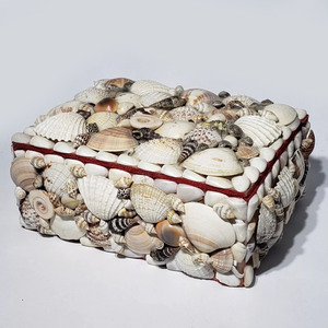 Seashell <b>boxes</b> hand-crafted sea shell encrusted box beach vibe party <b>favour</b> storage for sale - Product Image 3