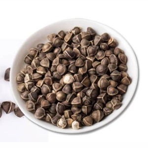 Graines de Moringa en vrac, 100% pures, de Moringa Oleifera, pour produits à base de plantes et applications nutritionnelles - Product Image 3