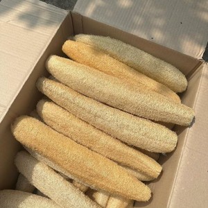 Sustainable Shower Accessories Natural Loofah Bath Sponge Organic Body Scrubber Biodegradable Eco Bath Essential for Home - Product Image 5