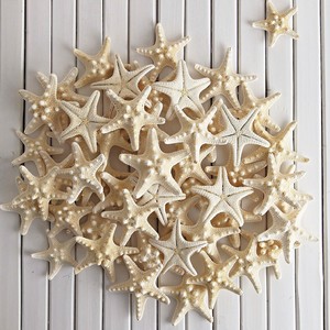 Prix compétitif, étoiles de mer naturelles séchées, étoiles de mer à vendre, décoration sur le thème marin - Product Image 3