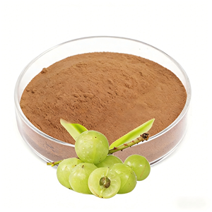 Extracto de Amla de la Mejor Calidad, 40% Natural, Polvo de Fruta de Emblica Officinalis para el Cuidado de la Piel, el Cabello y la Salud, Disponible para la Venta - Product Image 4