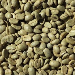 เมล็ดกาแฟเขียวออร์แกนิกเวียดนาม อาราบิก้า ไม่ใช่พืช GMO GB26 ผลผลิตจากฟาร์ม IIGLOBAL เกรดสูง ปลูกในพื้นที่สูง ราคาส่งออกมาตรฐาน - Product Image 1