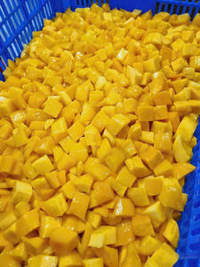 Vietnam ofrece mango congelado empaquetado a granel listo para exportar a importadores y minoristas de alimentos - Product Image 5