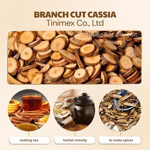 ที่ตัดกิ่งแบบพรีเมียมสำหรับผู้ซื้อ (WA + 84914319488) - Product Image 5