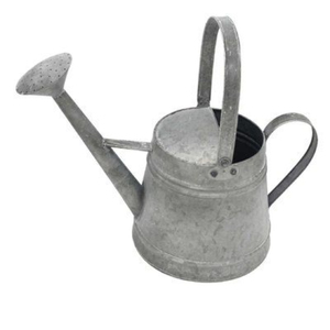 Regadera de Acero Galvanizado de 1 Galón, Regadera Metálica para Jardín con Boquilla Larga y Extraíble de Oro/Latón, Doble Asa - Product Image 6