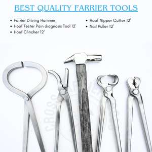 Farrier Tools Kit Stainless Steel Horse <b>Hoof</b> with Driving Hammer <b>Hoof</b> Tester Nail Puller Alligator Clincher and Trimming Cutter - Product Image 2