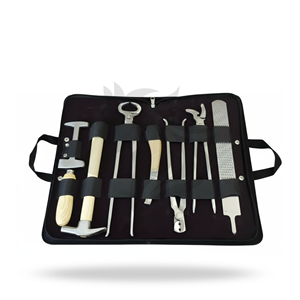 Kit de herramientas para pezuñas FARRIER, juego de 10 piezas de acero inoxidable para el cuidado de las pezuñas de caballos - Product Image 1