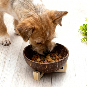 Tazón de Coco Pulido Hecho a Mano para Mascotas, Tazón de Alimentación sin Plástico para Perros Pequeños, Venta al por Mayor desde Vietnam - Product Image 2