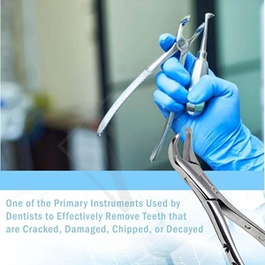 Forceps d'extraction dentaire plaqué or de qualité supérieure en acier inoxydable pour molaires supérieures, pince d'extraction légère, outils dentaires - Product Image 6
