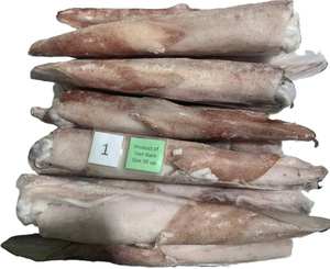 Calamari Congelati di Grado Export, Carne Pura, Vendita all'Ingrosso - Product Image 1